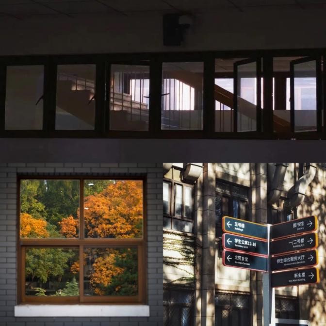 英国上市公司365